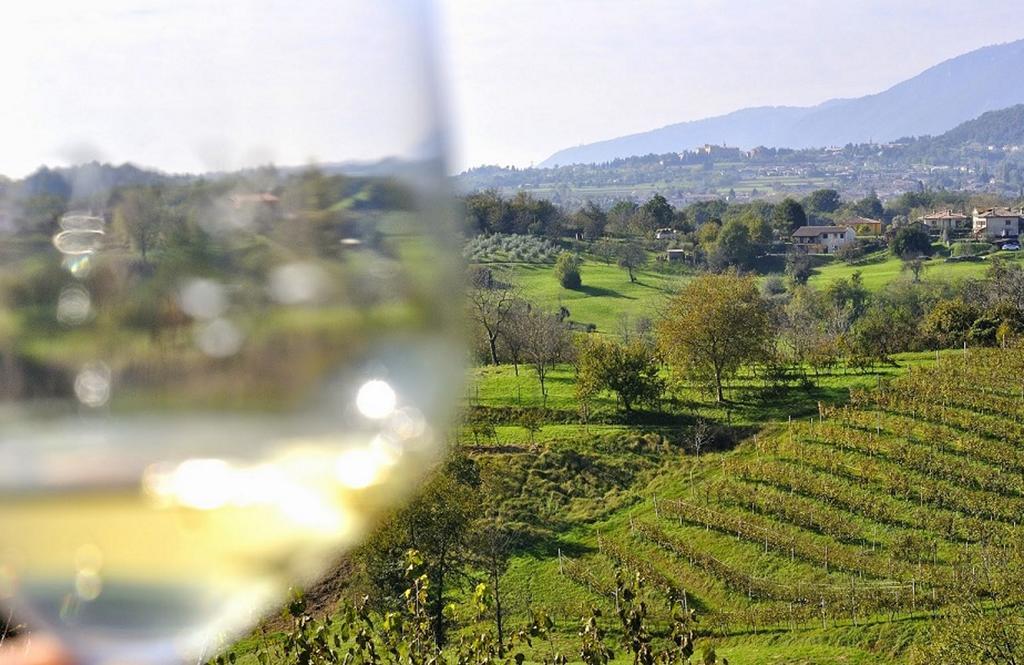 Wine Hotel San Giacomo Activity & Wellness Paderno del Grappa Екстериор снимка