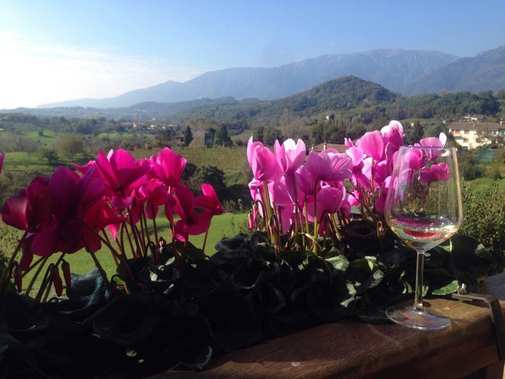Wine Hotel San Giacomo Activity & Wellness Paderno del Grappa Екстериор снимка