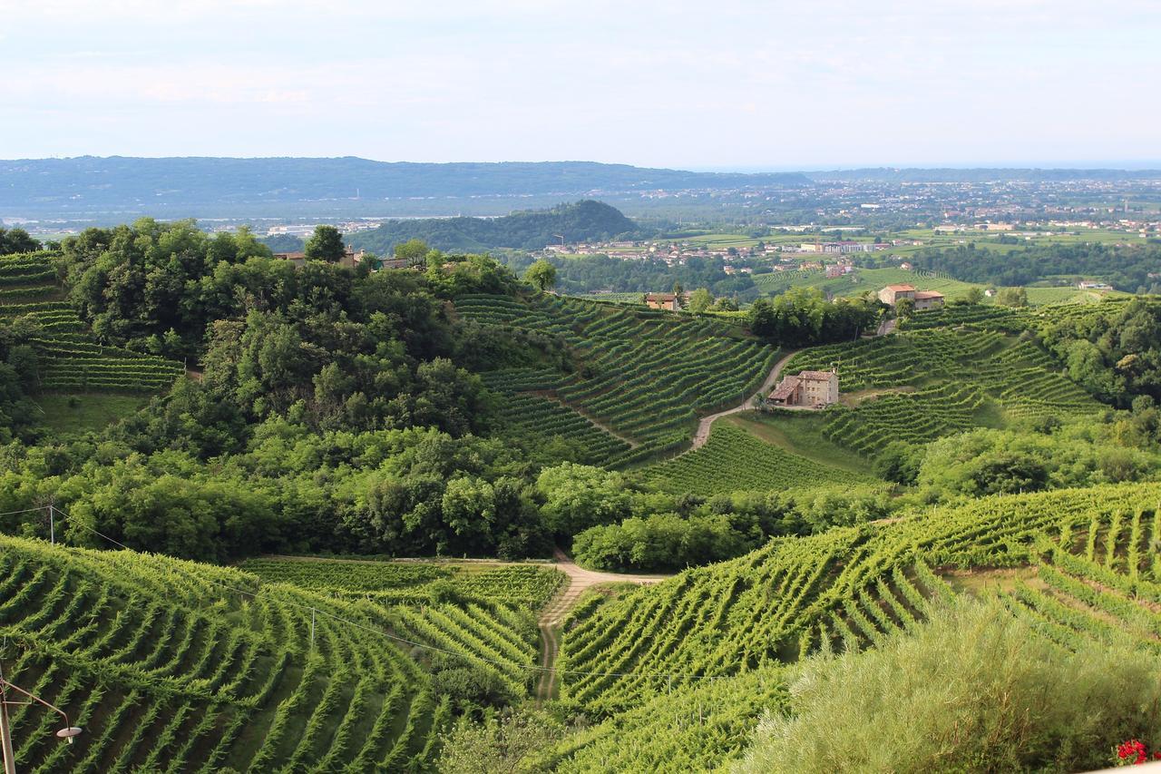 Wine Hotel San Giacomo Activity & Wellness Paderno del Grappa Екстериор снимка
