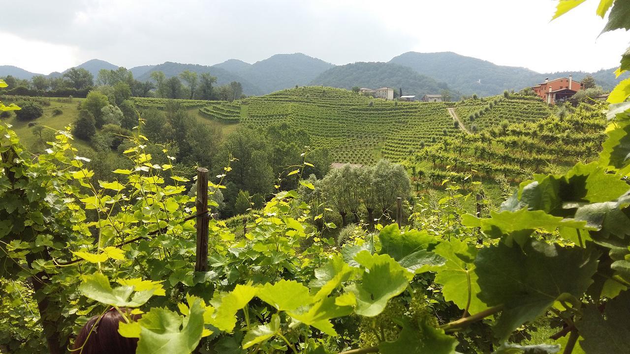 Wine Hotel San Giacomo Activity & Wellness Paderno del Grappa Екстериор снимка
